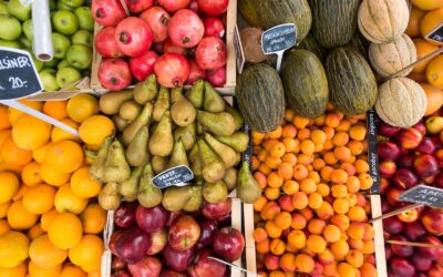 Understanding the Supply Chain: Your Premium Produce Wholesaler Explained